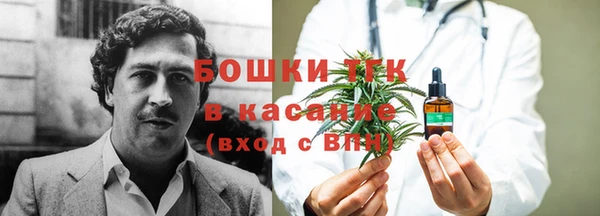PSILOCYBIN Абаза