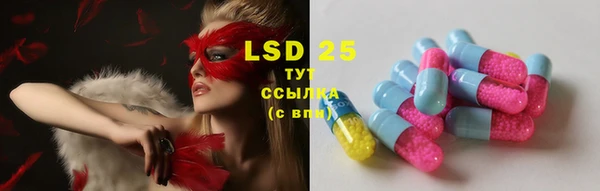 PSILOCYBIN Абаза