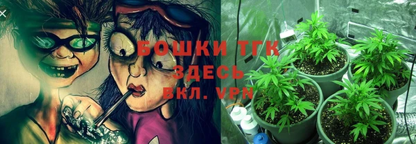 PSILOCYBIN Абаза