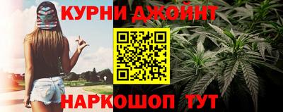 стафф Будённовск