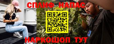 стафф Будённовск