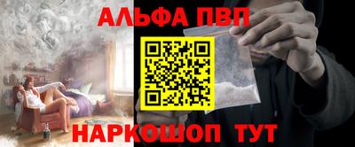 стафф Будённовск