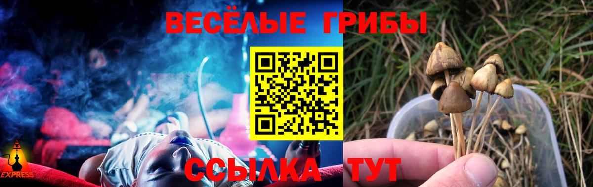 Вичуга  Псилоцибиновые грибы Cubensis  Вход с VPN 