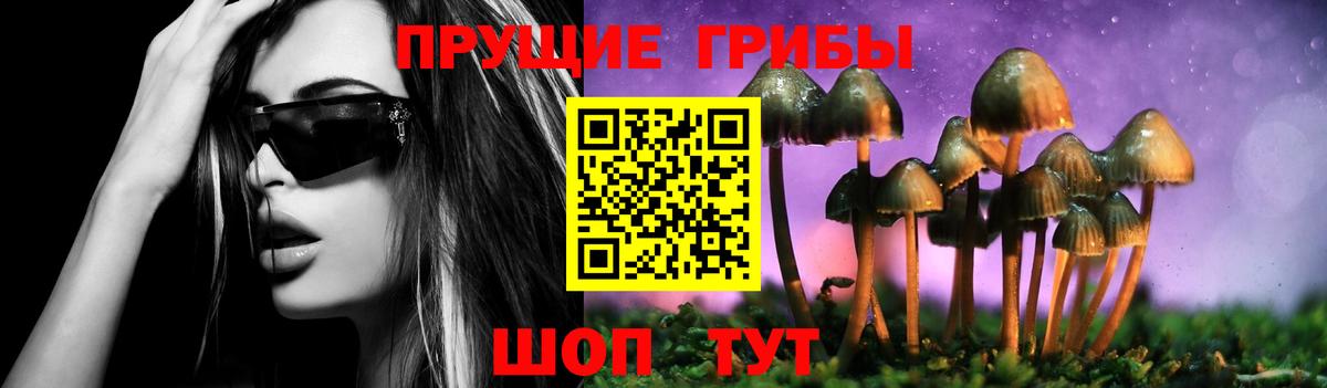 Галлюциногенные грибы прущие грибы Вичуга