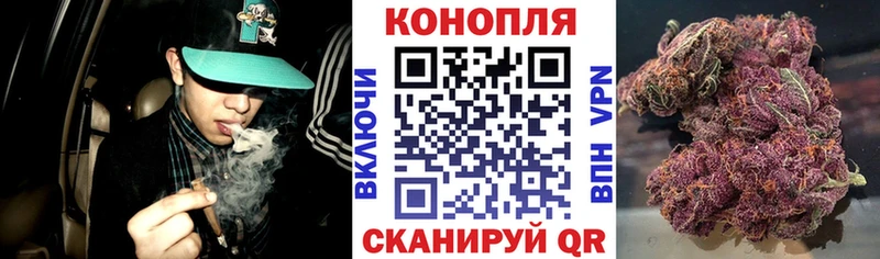 сколько стоит  Вичуга  Бошки Шишки ГИДРОПОН 